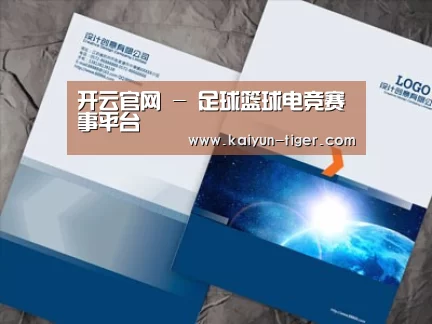 项目名称十