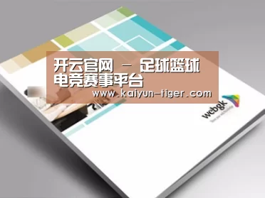 项目名称九