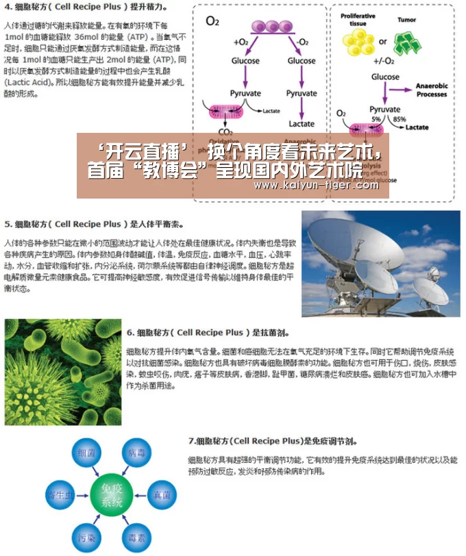 ‘开云直播’
<h1>换个角度看未来艺术,首届“教博会”呈现国内外艺术院校教育(图3) 开云直播