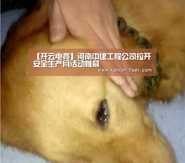 【开云电竞】河南中建工程公司拉开安全生产月活动帷幕(图3) 开云赛事