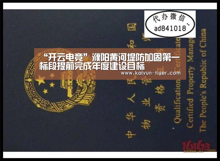 “开云电竞”濮阳黄河堤防加固第一标段提前完成年度建设目标(图4) 开云赛事