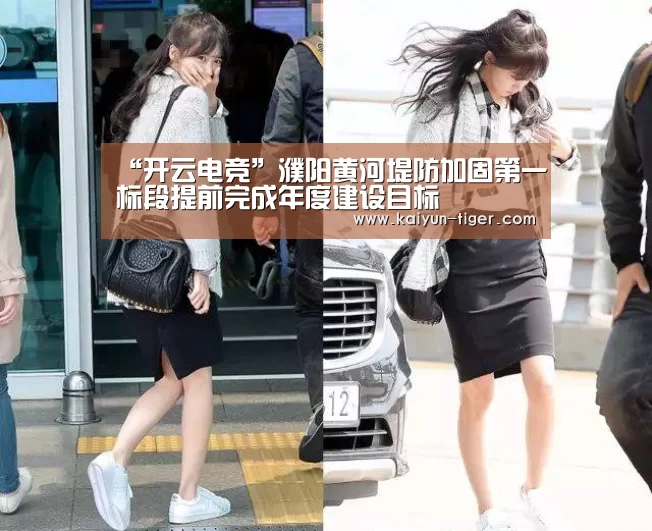 “开云电竞”濮阳黄河堤防加固第一标段提前完成年度建设目标(图3) 开云电竞