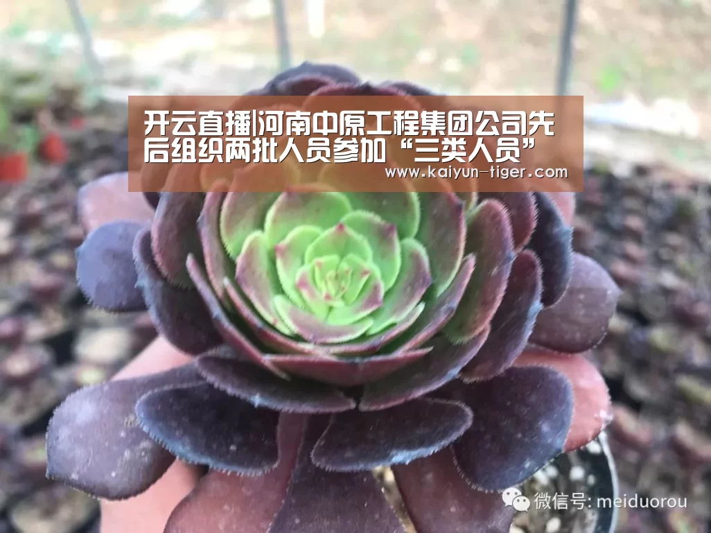 开云直播|河南中原工程集团公司先后组织两批人员参加“三类人员”考核培训(图2) 开云直播