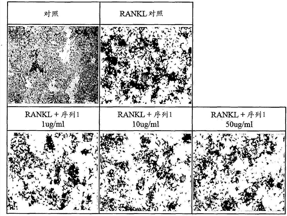 黄河水电公司组织观看廉政警示教育片‘开云竞猜’(图1) 开云直播